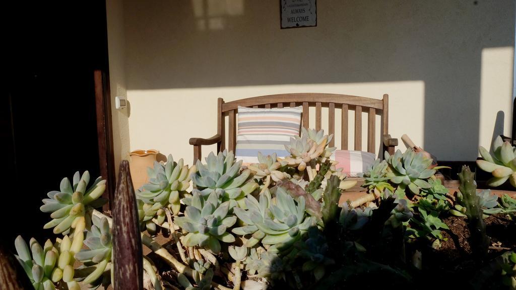 B&B Le Rose Siderno Eksteriør billede